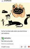 Cat Hand Drawing _ Cat Drawing.jpeg