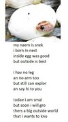 b900e912-2ae9-4c23-b5e2-a964cedd7830.jpeg