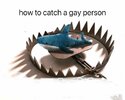 shark=gay ppl.jpeg