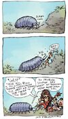FB_IMG_1685818643686.jpg