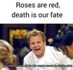 a9f566b1fc9fddbfa7491a6ce7c86092.jpg
