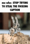 rapidsave.com_vzreaz2mzy2b1.gif