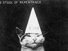 dunce_cat_cover_image_0.jpg