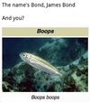 1777920457786.png