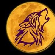 Papa wolf