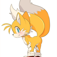 Tailhole_Sniffer